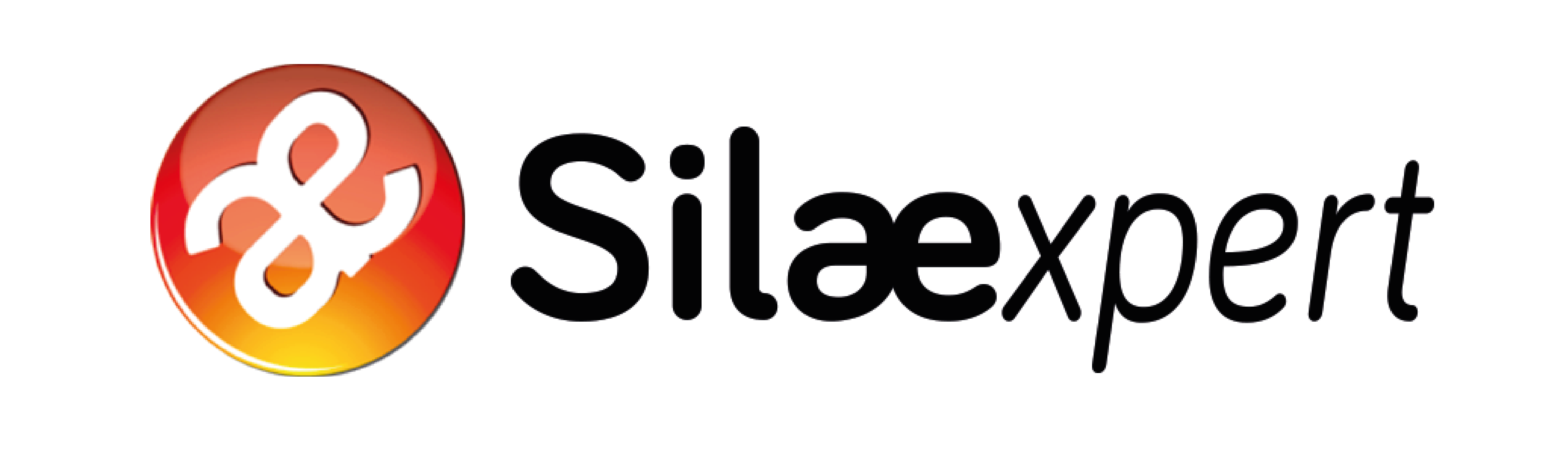 logo Silaexpert